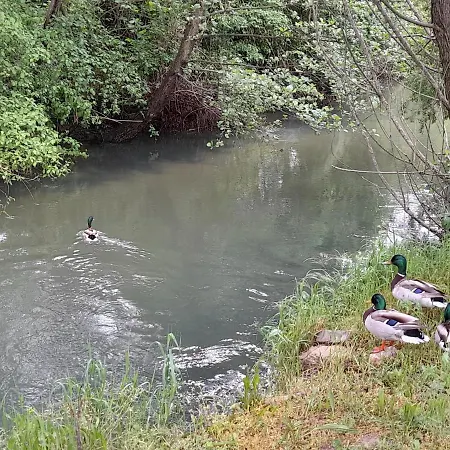 アパート River Bank & Castle View