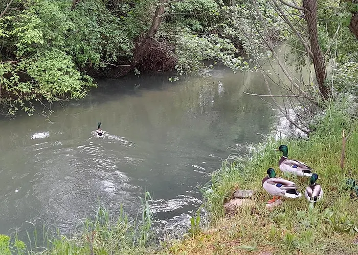 Lägenhet River Bank & Castle View